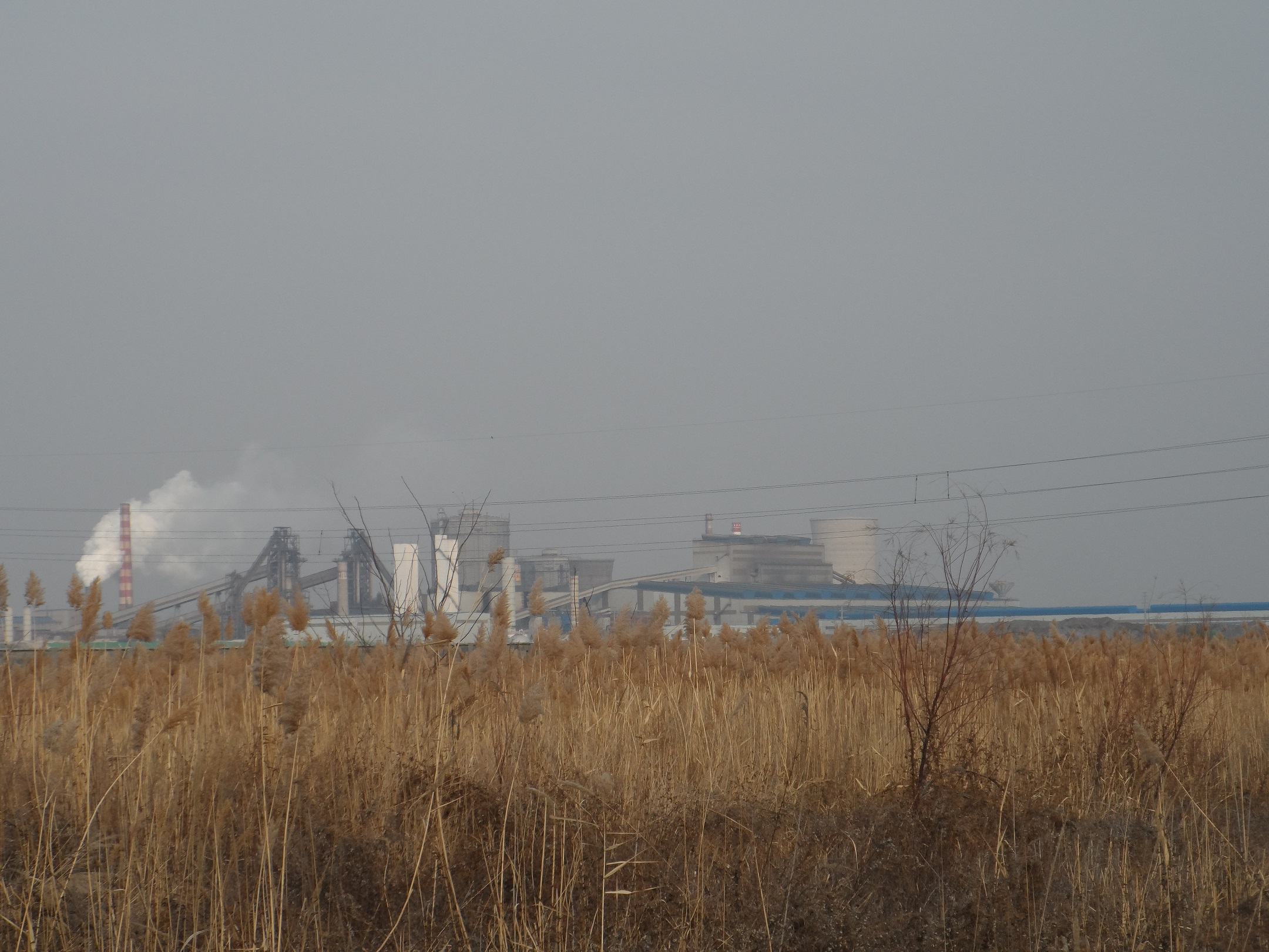 說(shuō)明: E:\2013年未完成項(xiàng)目\百度云同步盤(pán)\2016年\（書(shū)）剛和石油（營(yíng)口）有限公司8萬(wàn)噸潤(rùn)滑油脂加工項(xiàng)目2016.11.16\現(xiàn)場(chǎng)照片\SAM_7598.JPG